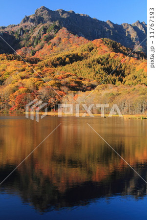 秋の戸隠高原　紅葉の鏡池と戸隠山 11767193