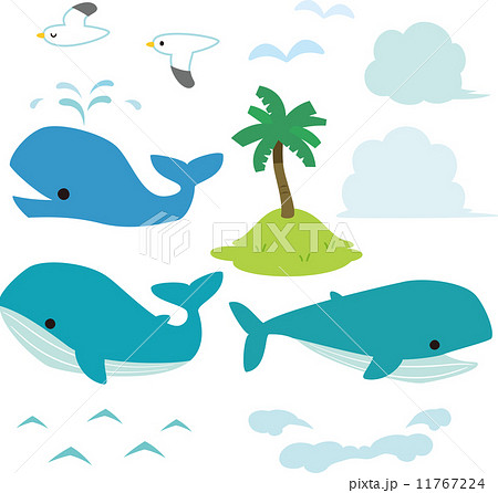 クジラと海のイラスト素材