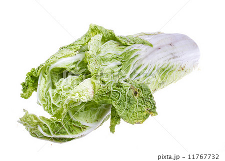 Chinese cabbage on white background 11767732