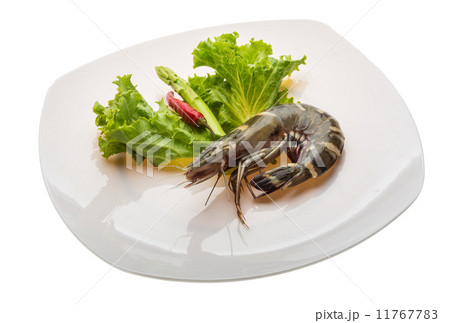 Tiger prawn 11767783