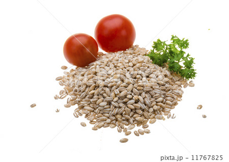 Pearl barley Pearl barley 11767825