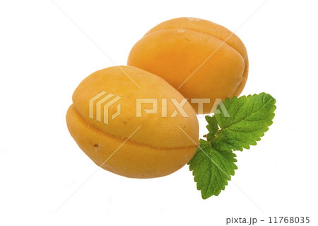 Apricot Apricot 11768035