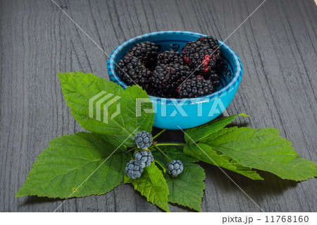 Blackberry Blackberry 11768160