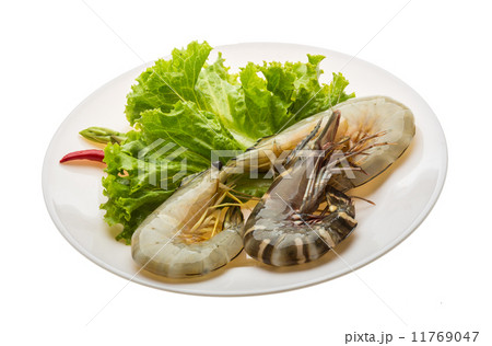 King and waterleg shrimps 11769047