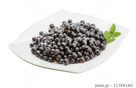Blueberry 11769160