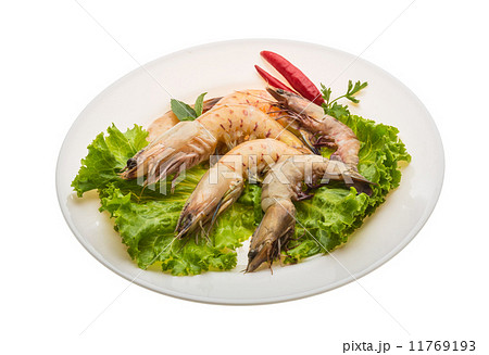 King Prawn 11769193