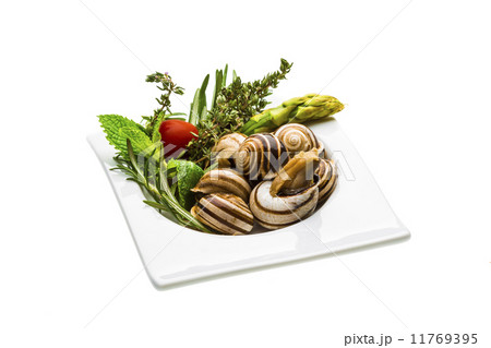 Escargot with asparagus, rosemary, thymus and tomato 11769395