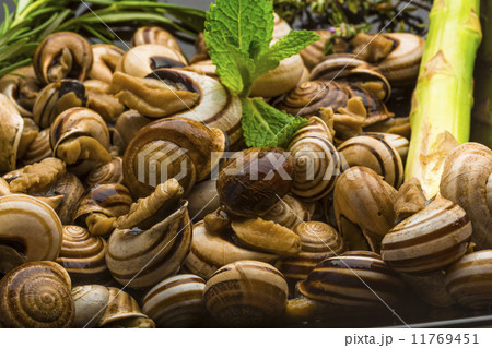 Escargot with asparagus, rosemary, thymus and tomato 11769451