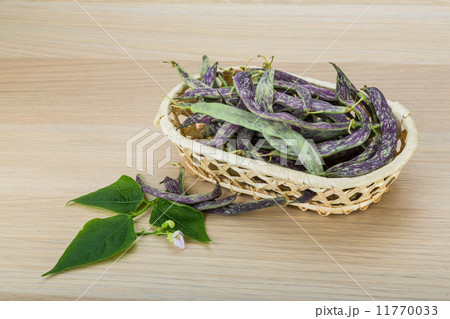 Beans with leaf Beans with leaf 11770033