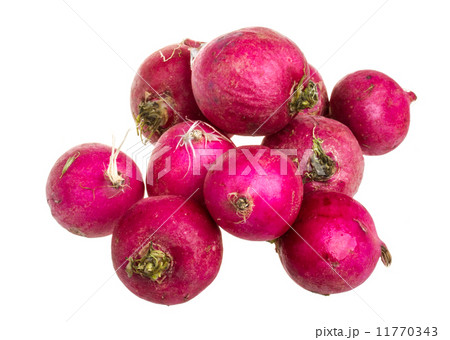 Small garden radish isolated on white background 11770343