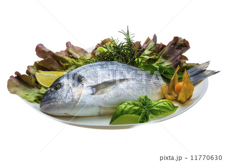 Fresh raw dorada Fresh raw dorada 11770630