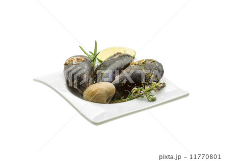 Wild mussel Wild mussel 11770801