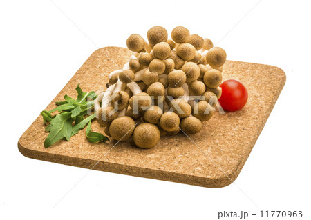 Japan mushroom Shimeji 11770963