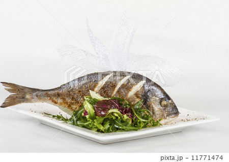 Dorada fish with salad on the white plate. Studio shot Dorada fish with salad on the white plate. Studio shot 11771474