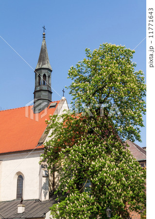 historic building in Krakow. Poland 11771643
