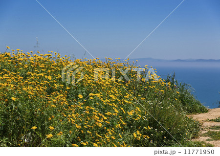 Mediterranean sea coast Mediterranean sea coast 11771950