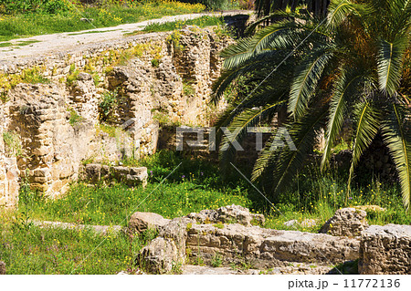 Old Carthage ruins 11772136