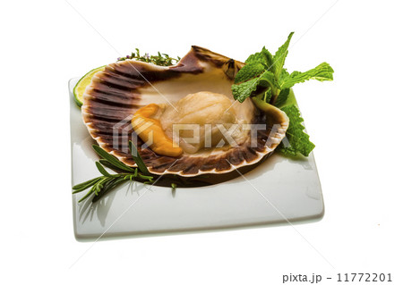 Scallop with asparagus, lime, mint and rosemary 11772201