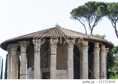 Rome - Vesta temple 11772944