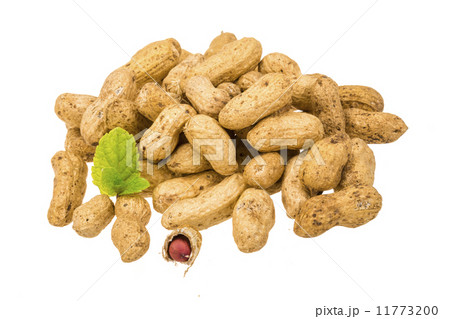 Peanut 11773200