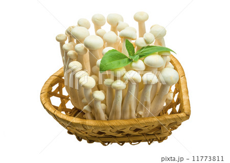 Japan mushroom Shimeji Japan mushroom Shimeji 11773811