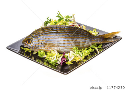 Salema porgy - sarpa fish 11774230