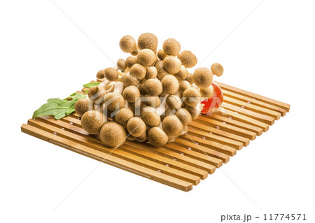 Japan mushroom Shimeji 11774571