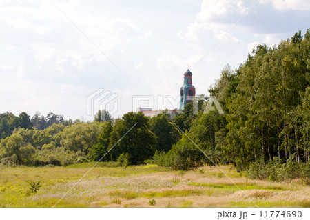 grass valley in forest during summer 11774690