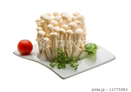Japan mushroom Shimeji Japan mushroom Shimeji 11775063