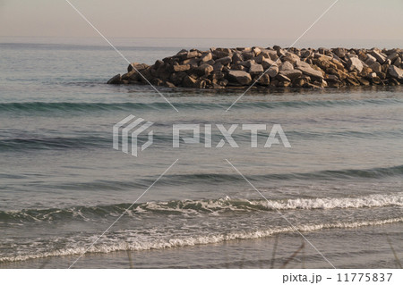Tunis Tunis 11775837