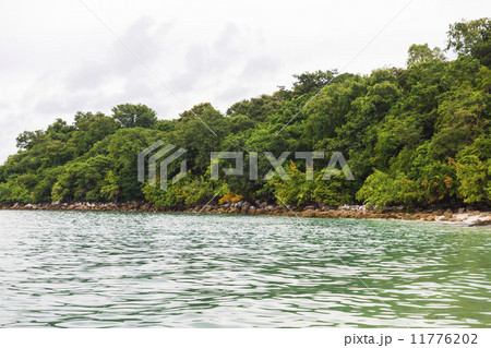 Samet island Samet island 11776202