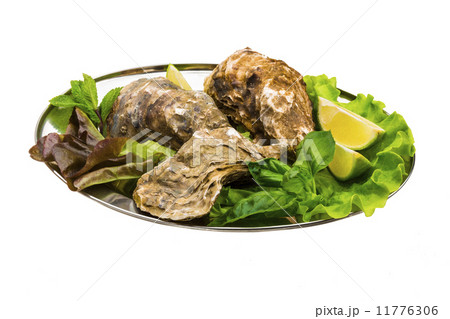 Fresh oyster 11776306