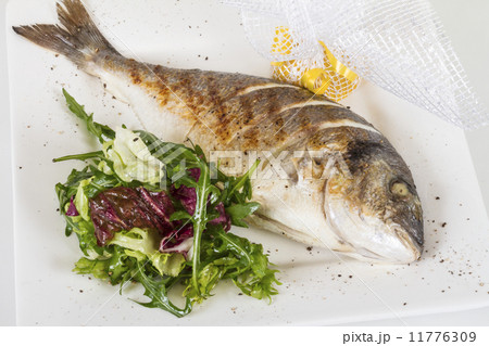 Dorada fish with salad on the white plate. Studio shot Dorada fish with salad on the white plate. Studio shot 11776309