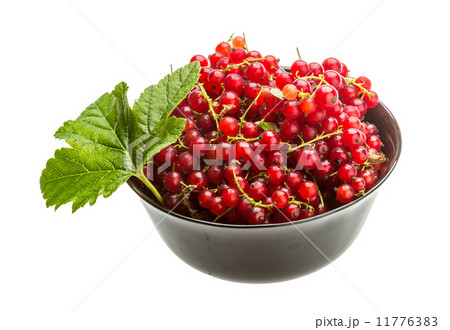Red currant Red currant 11776383