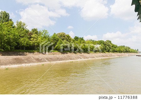 Margaret island, Budapest, Hungary Margaret island, Budapest, Hungary 11776388