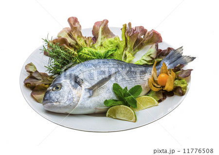 Fresh raw dorada Fresh raw dorada 11776508