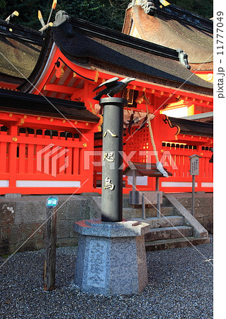 熊野那智大社の八咫烏 11777049