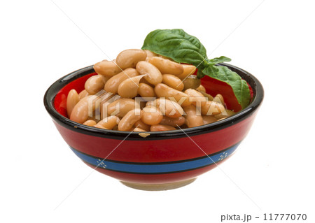 Tinned bean Tinned bean 11777070