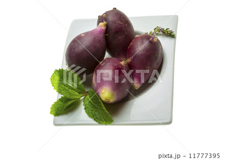 Cactus sabr Cactus sabr 11777395