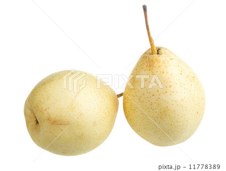 fresh nashi pear on a white background fresh nashi pear on a white background 11778389