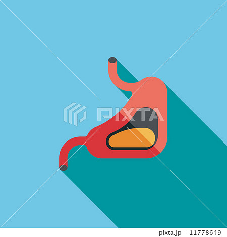 Human stomach flat icon with long shadow 11778649