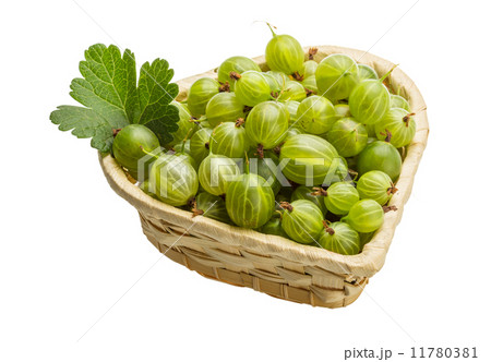 Gooseberry 11780381