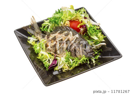 Grilled Tilapia with salad 11781267