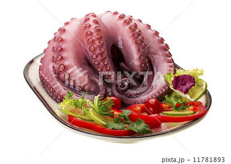Large boiled octopus 11781893