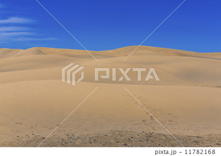 Maspalomas Duna - Desert in Canary island Gran Canaria 11782168
