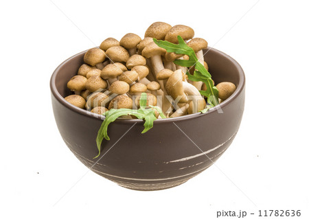 Japan mushroom Shimeji 11782636