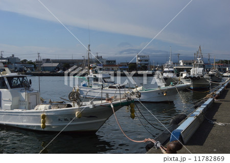 静岡県沼津港と付近の８月 11782869