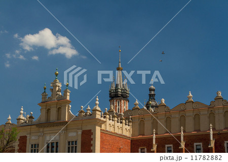 Sukiennice building in Krakow, Poland 11782882