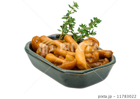 Armillaria Armillaria 11783022