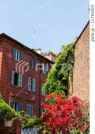 Trastevere District, Rome 11783920